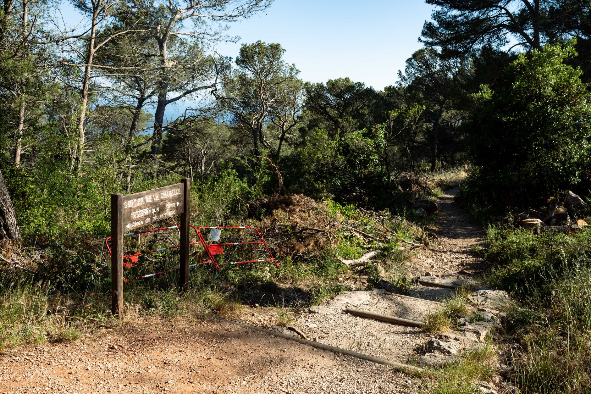 sentier cévenol marche