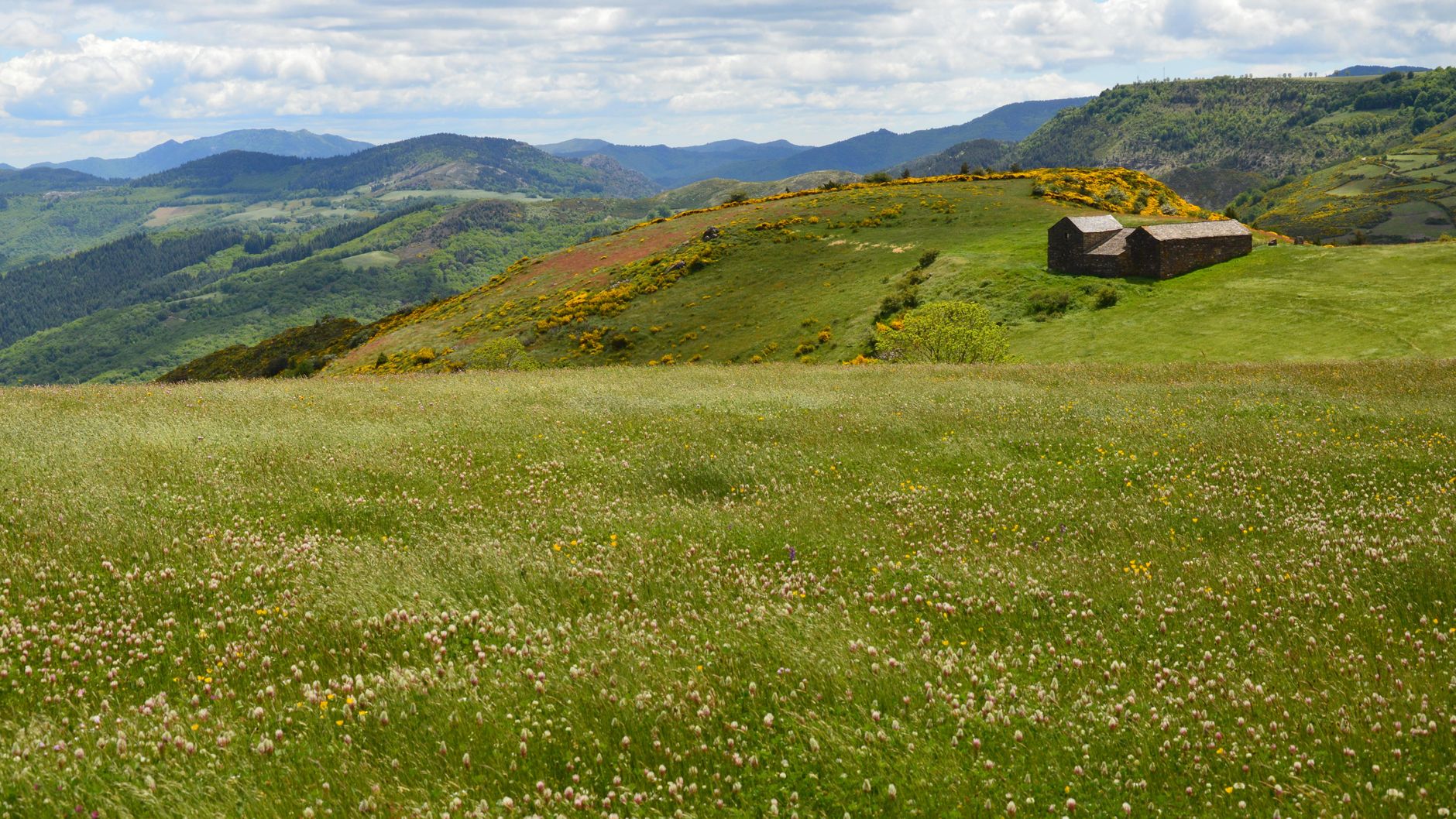 marche trail cévennes
