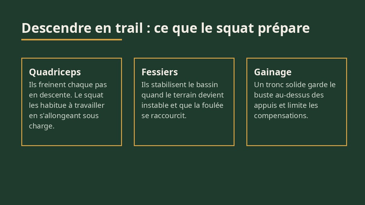 Descentes en trail : renforcer ses cuisses en salle pour mieux encaisser les chocs